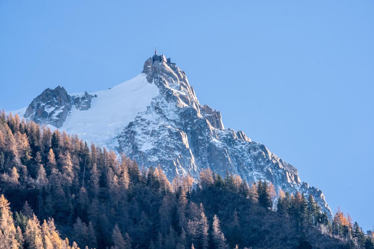Chamonix Sud Studio With Mont Blanc Views Exteriér fotografie