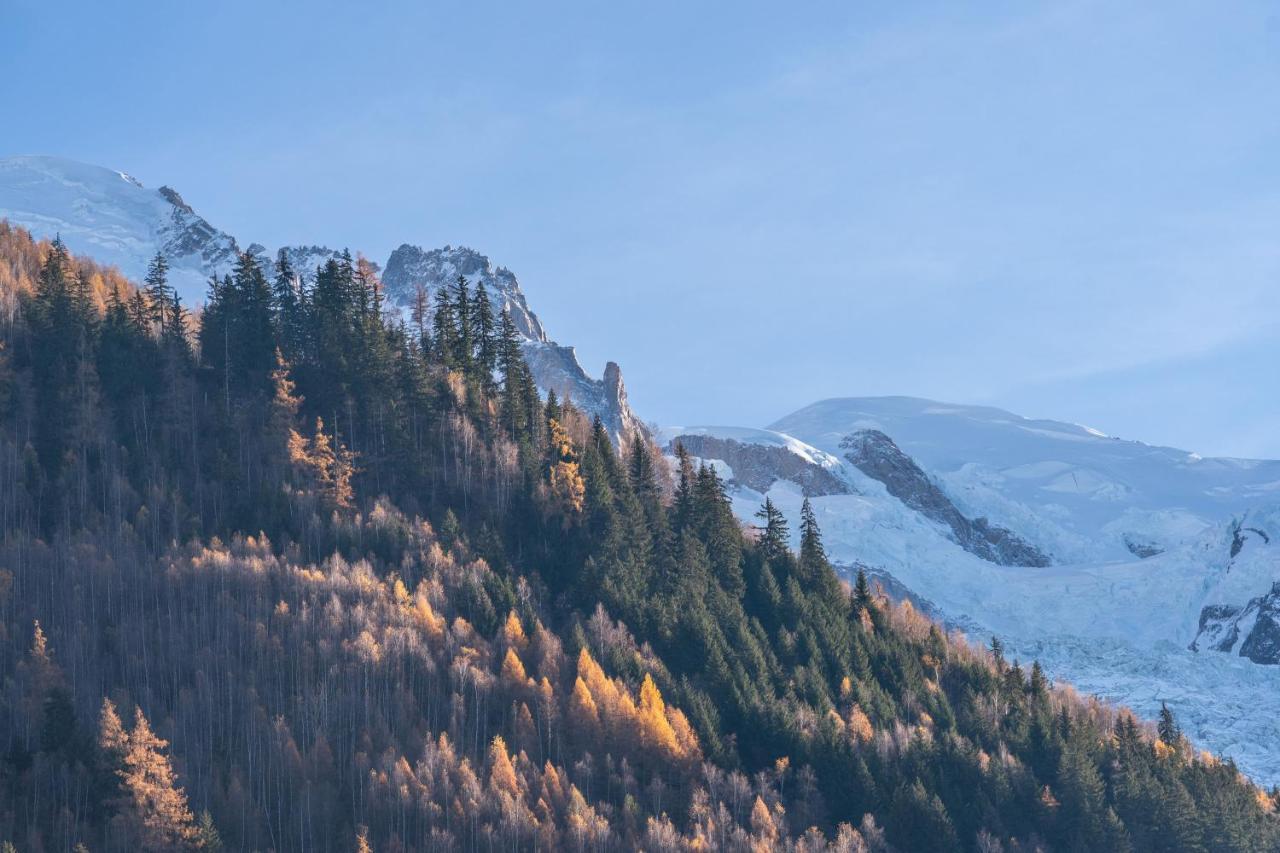 Chamonix Sud Studio With Mont Blanc Views Exteriér fotografie